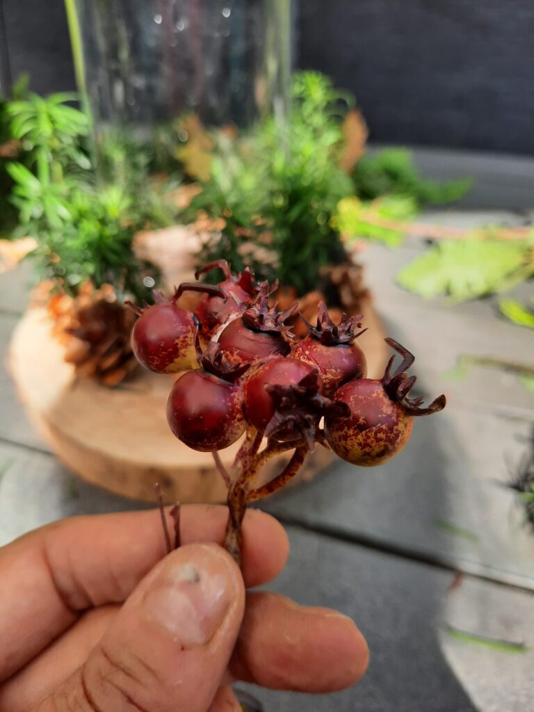 Decoratie voor je DIY herfst- en kersttafelstuk met natuurlijke elementen