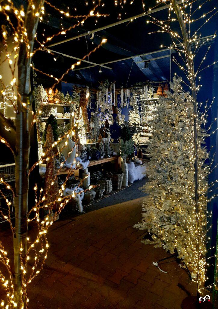 Lichtjes bos bij de kerstshow van Coppelmans Oisterwijk