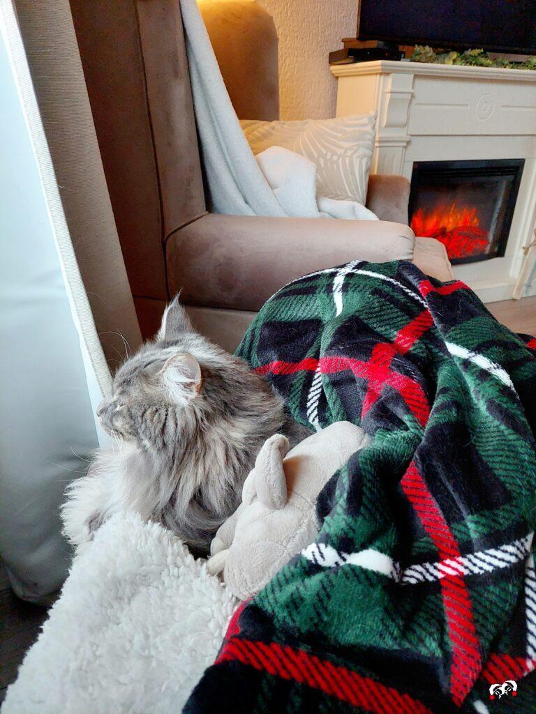 Teddy onder een deken bij de open haard voor kerst