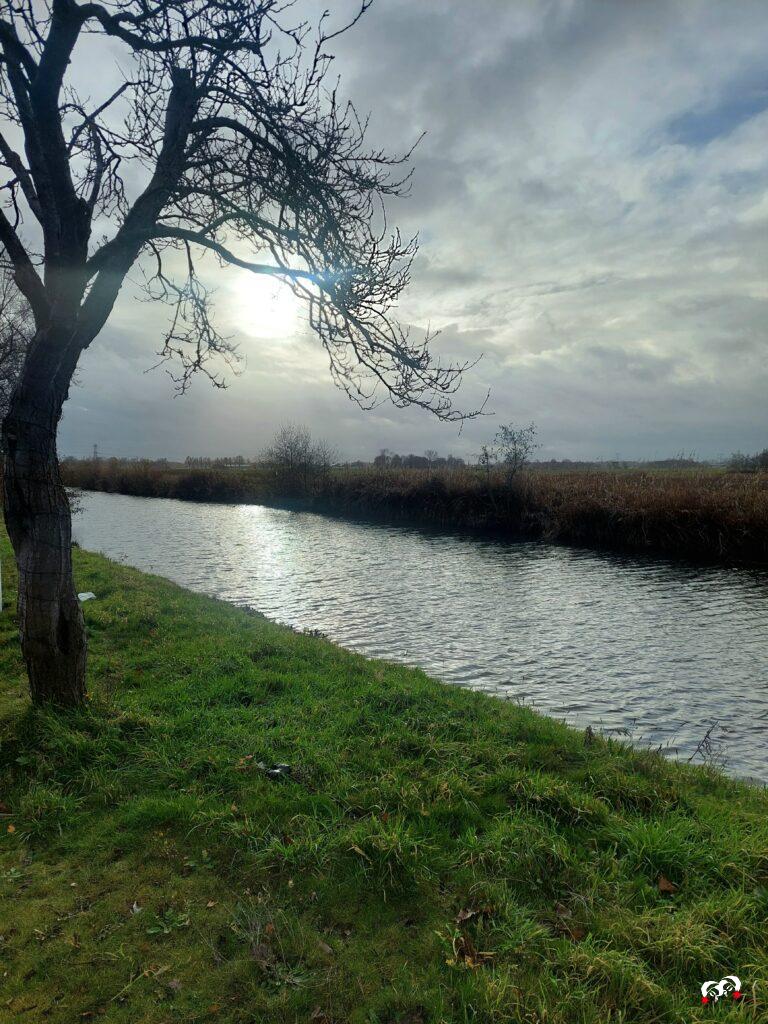 Uitzicht van een bleek zonnetje door een grauwe lucht boven een riviertje en een grasveld.